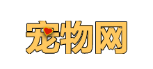 宠物网
