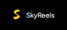 SkyReels - AI视频创作平台